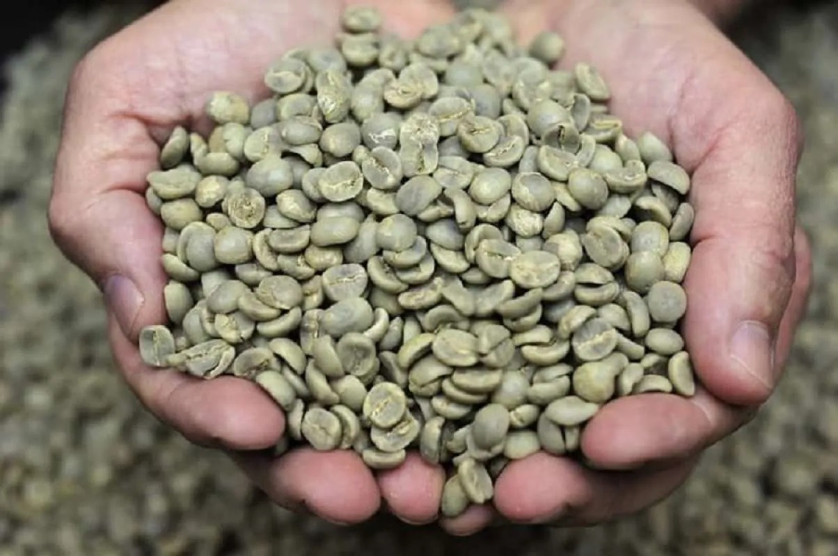 Cara Kirim Kopi Green Bean Ke Luar Negeri