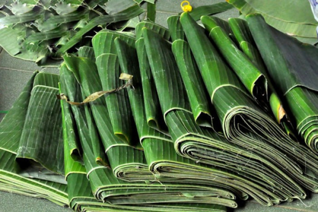 Cara Packing Daun Pisang