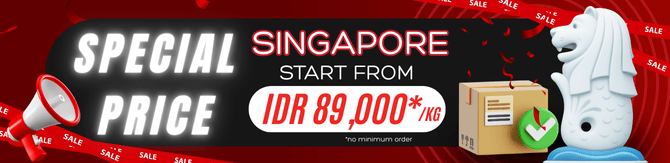 Promo Kirim Paket ke Singapura