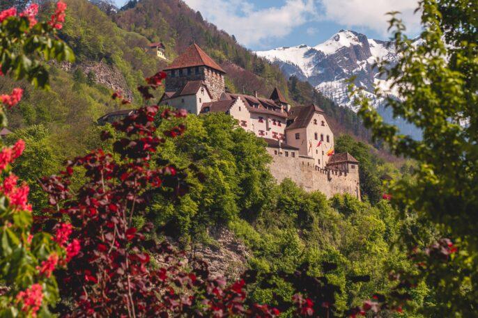 Ekspor Ke Liechtenstein