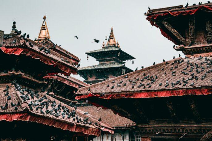 Ekspor Ke Nepal