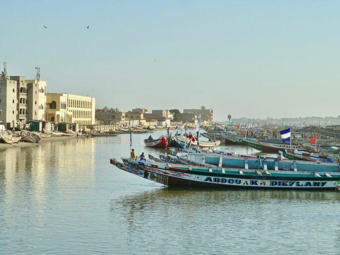Ekspor Ke Senegal