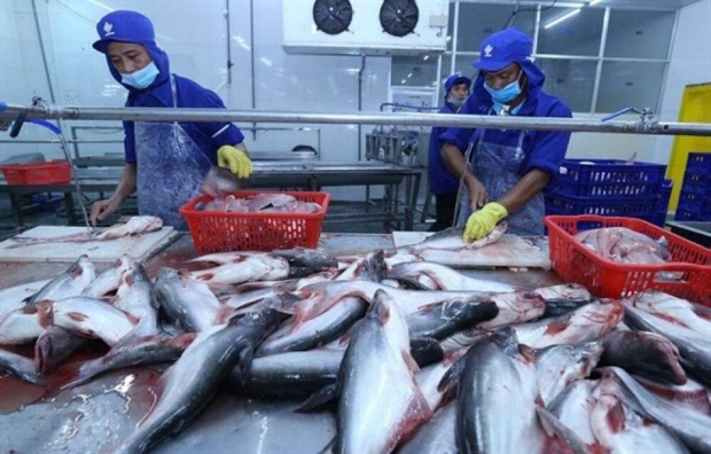 Cara Packing Ikan Ekspor