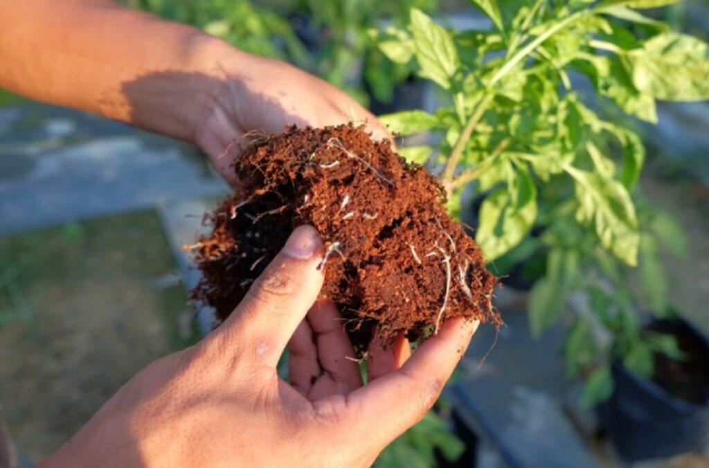 Mengemasnya Dengan Tanpa Pot